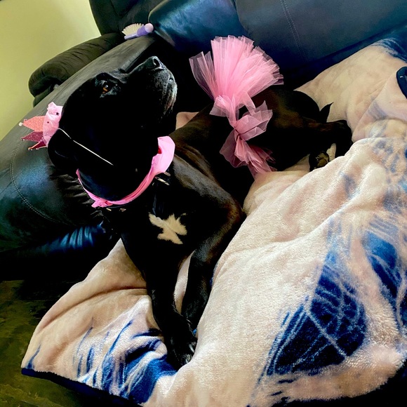 🍭Posing for B’day Pic - Picture 2 of 2